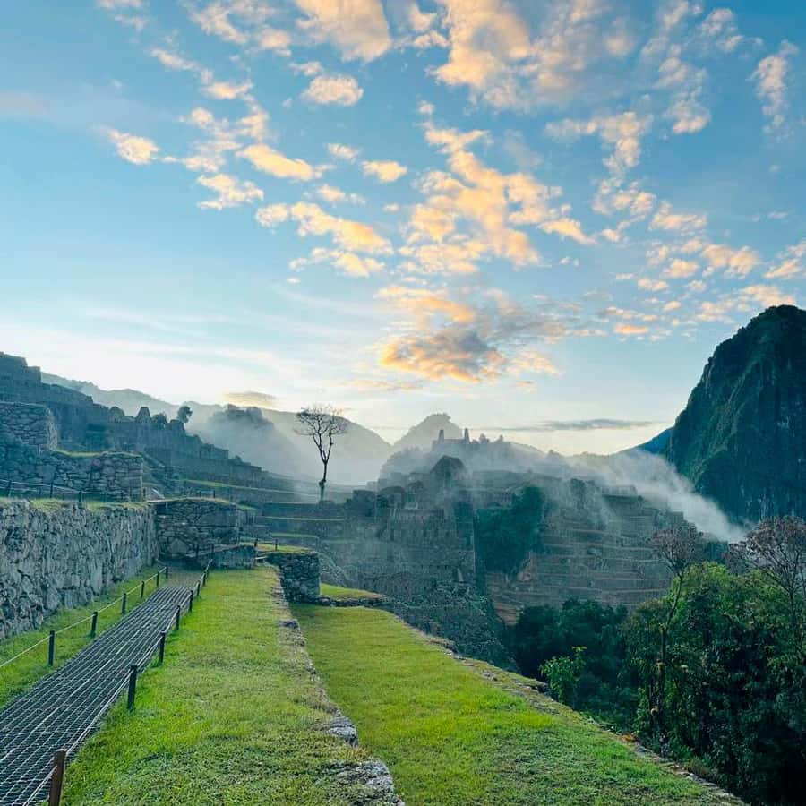 Galería de fotos para redes