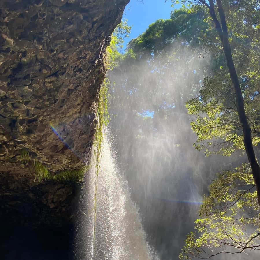 Colagem de mídia