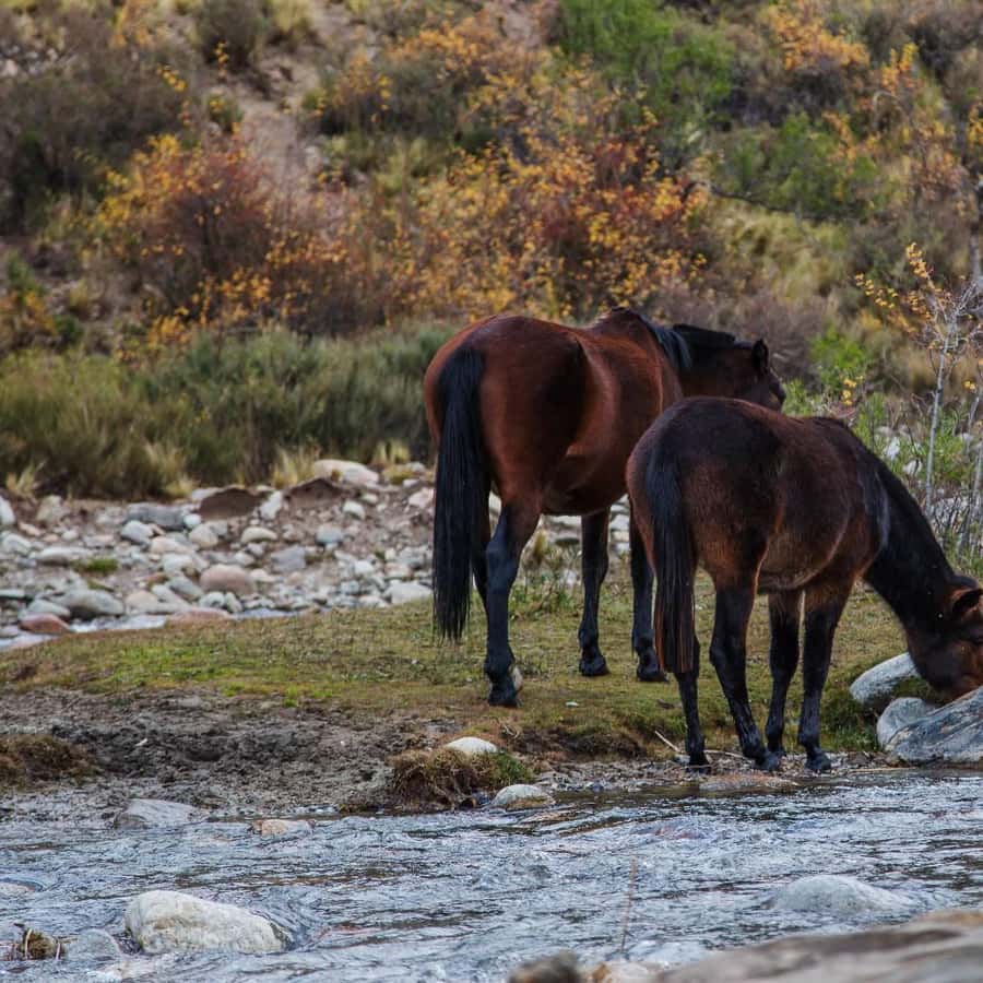 더욱 청정한 자동차 공급망 구축을 위한 경쟁 - Leaderboard 2024 Korean.docx, image size:900x900