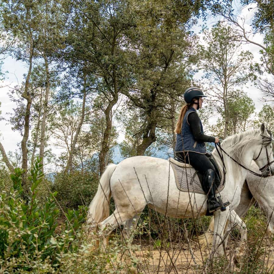 From Barcelona: Horseback Tour in Montserrat National Park