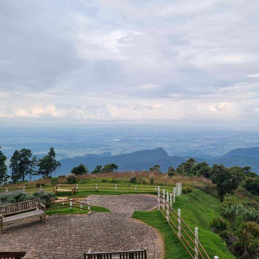 Colagem de mídia