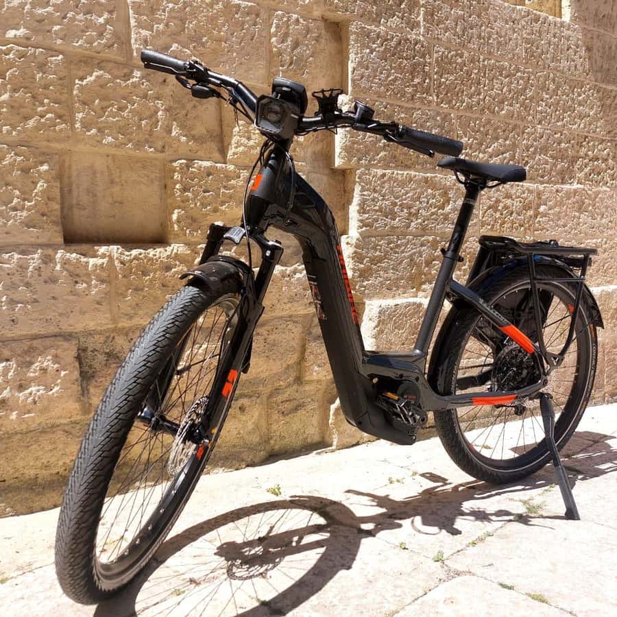 Bici Elettriche Negozio Di Biciclette Bici Elettrica The One Rider