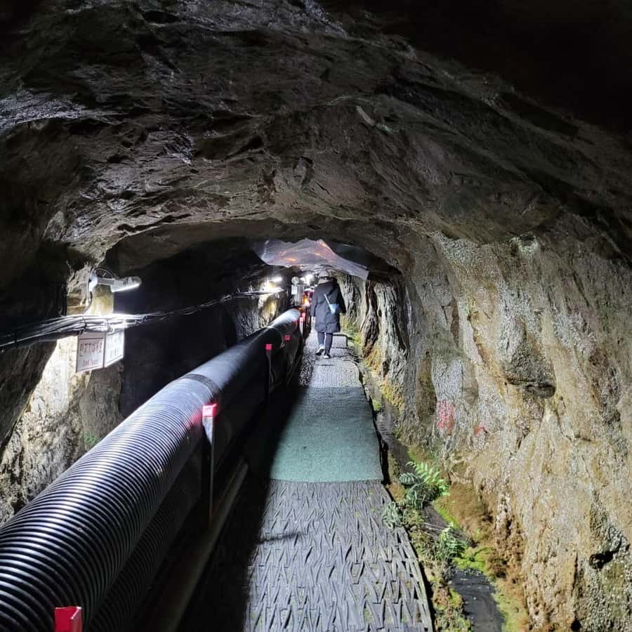 Private DMZ SPY Tour from Incheon Airport | GetYourGuide