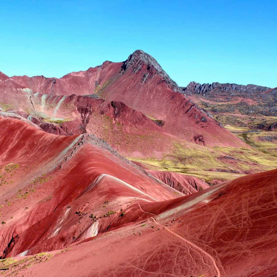 Galería de fotos para redes