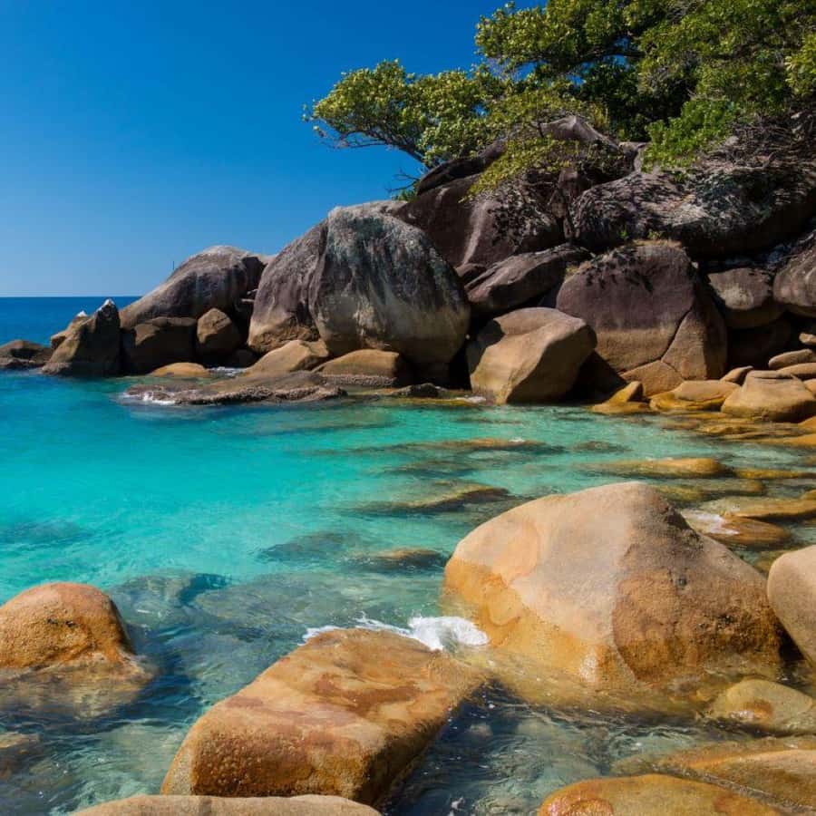 Cairns: Fitzroy Island Ferry with Snorkeling and Boat Tour