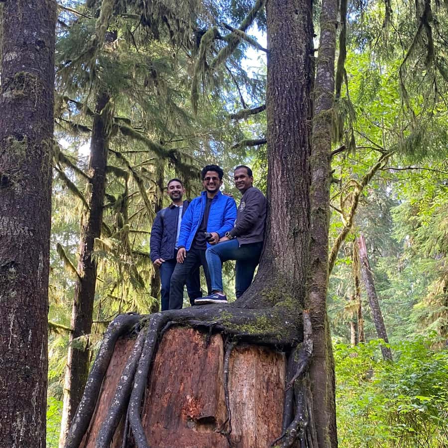 Rainforest and Olympic National Park Highlights