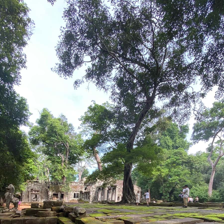 Colagem de mídia