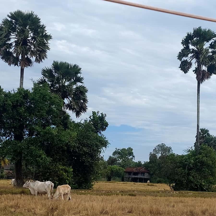 Colagem de mídia