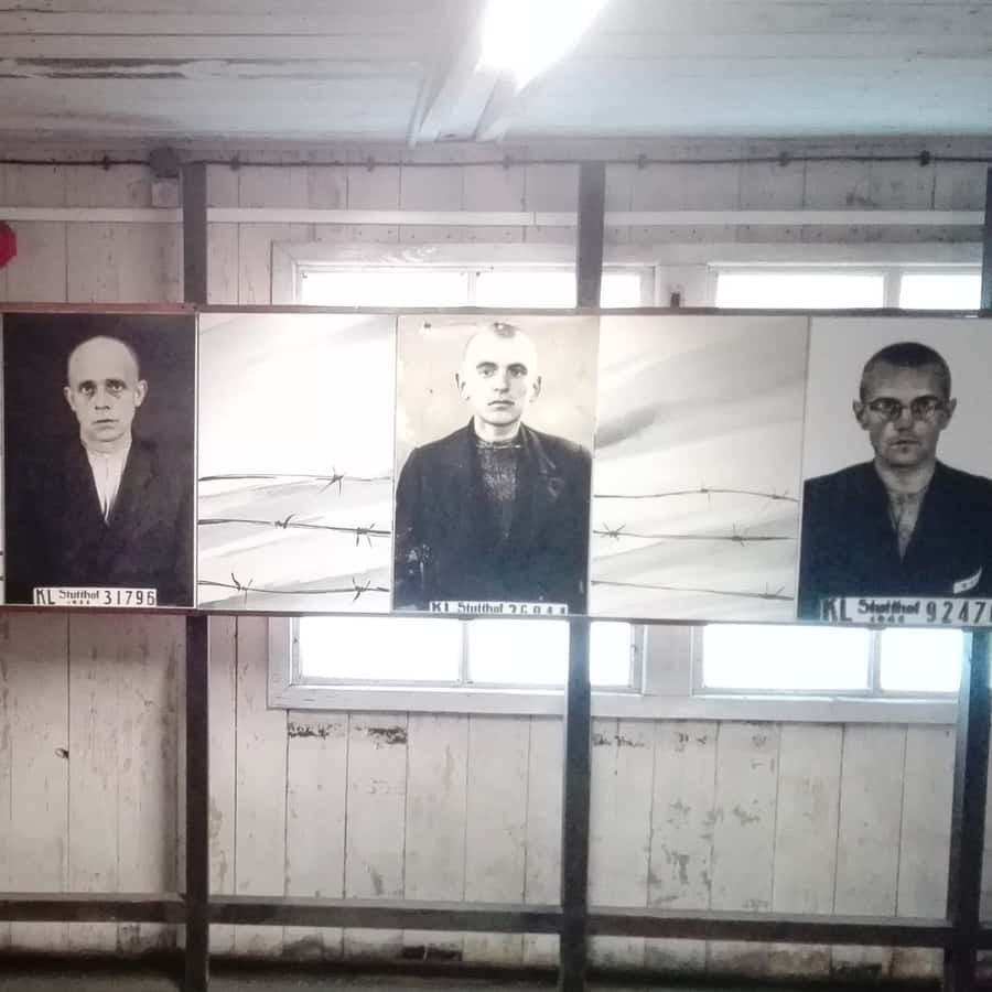 Kolaż medialny