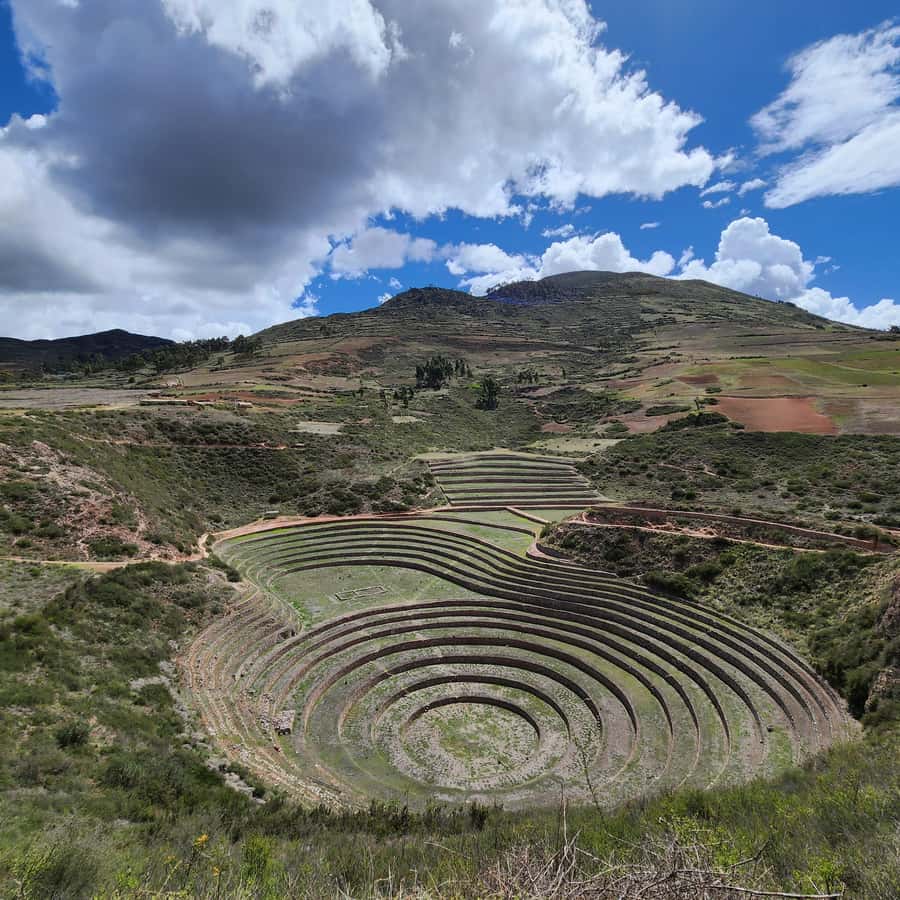 Galería de fotos para redes
