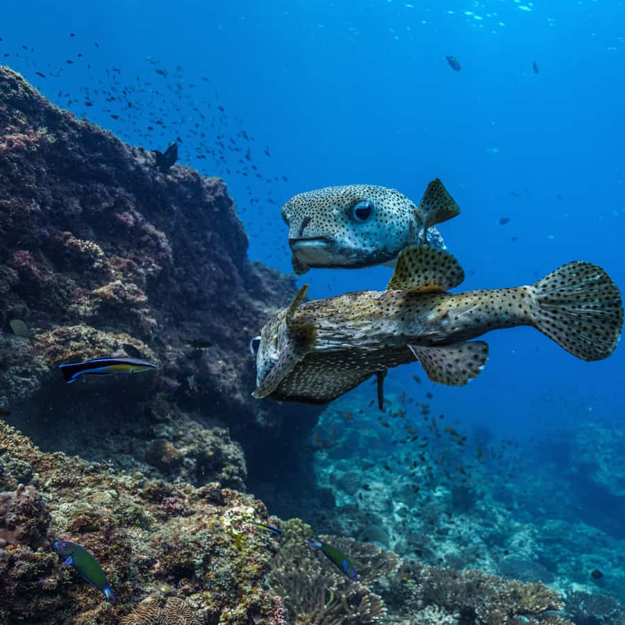 Rus lagerida porno Fizika oqituvchisi bilan jinsiy aloqa