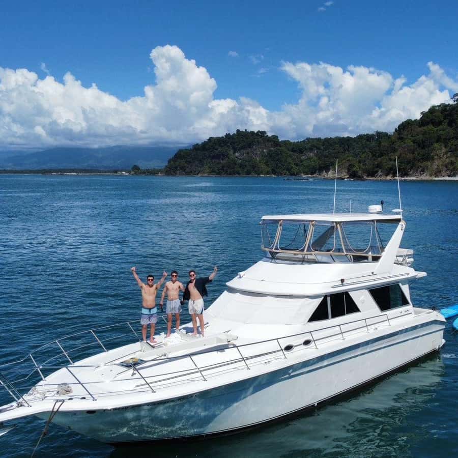 曼努埃爾安東尼奧、觀鯨之旅、全包式私人遊艇| GetYourGuide