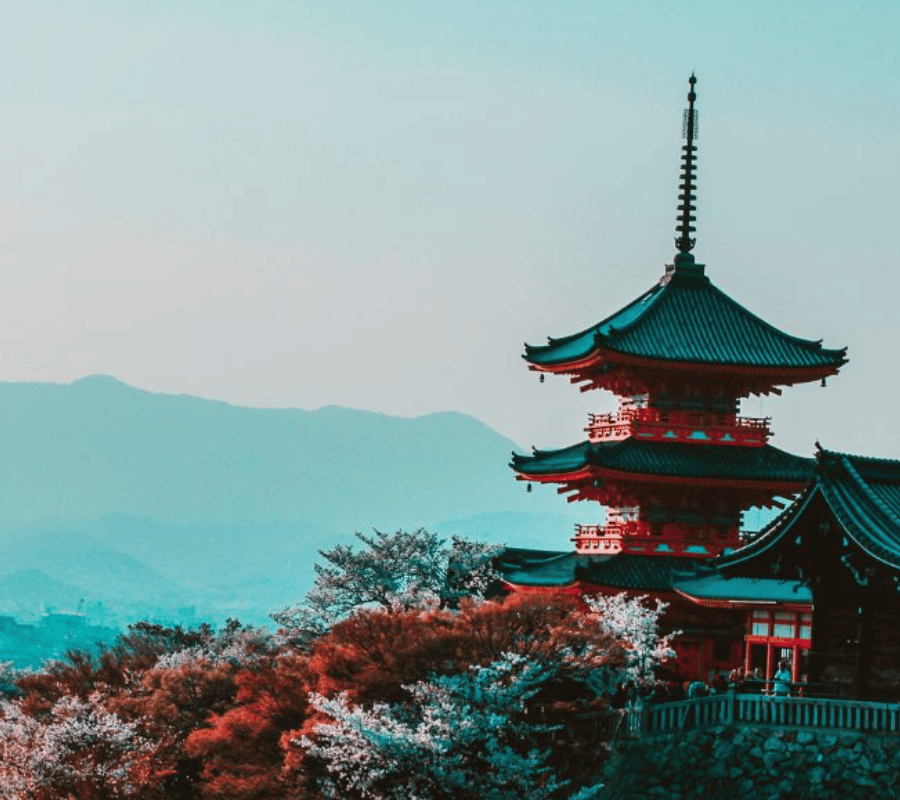 Kyoto : Private Custom Walking Tour With A Local Guide