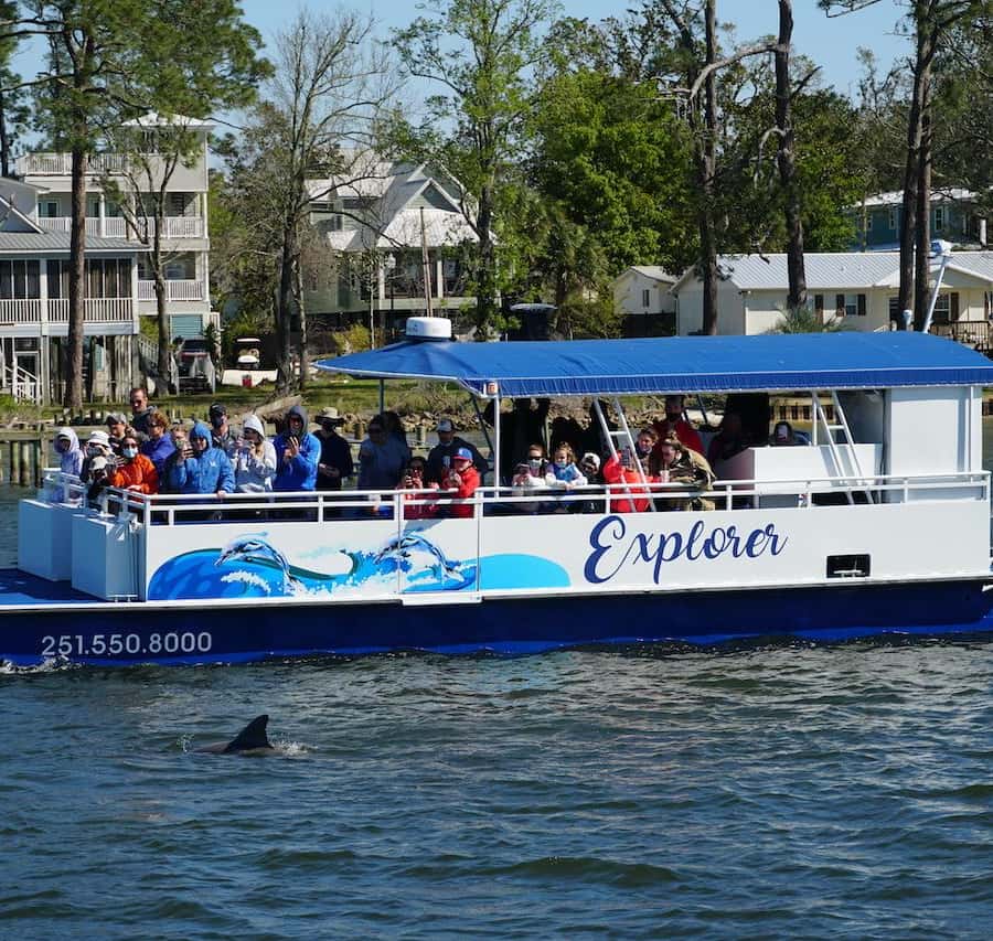 Orange Beach: Dolphin-Watching Sunset Catamaran Cruise