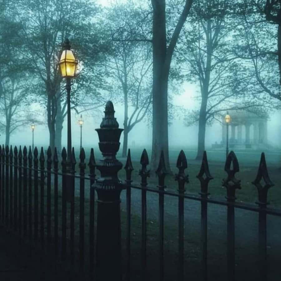Salem Night Tour: Haunt and History Guided Night Tour