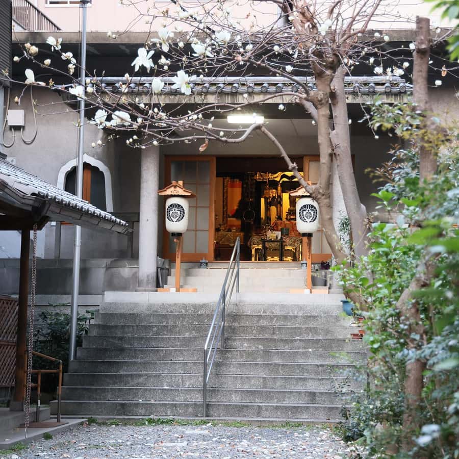 THE禅アカデミー（現在：THE禅サンガ）の6ヶ月コースDVD計18枚 Amazon.co.jp: THE禅アカデミー（現在 THE禅サンガ）の6ヶ月