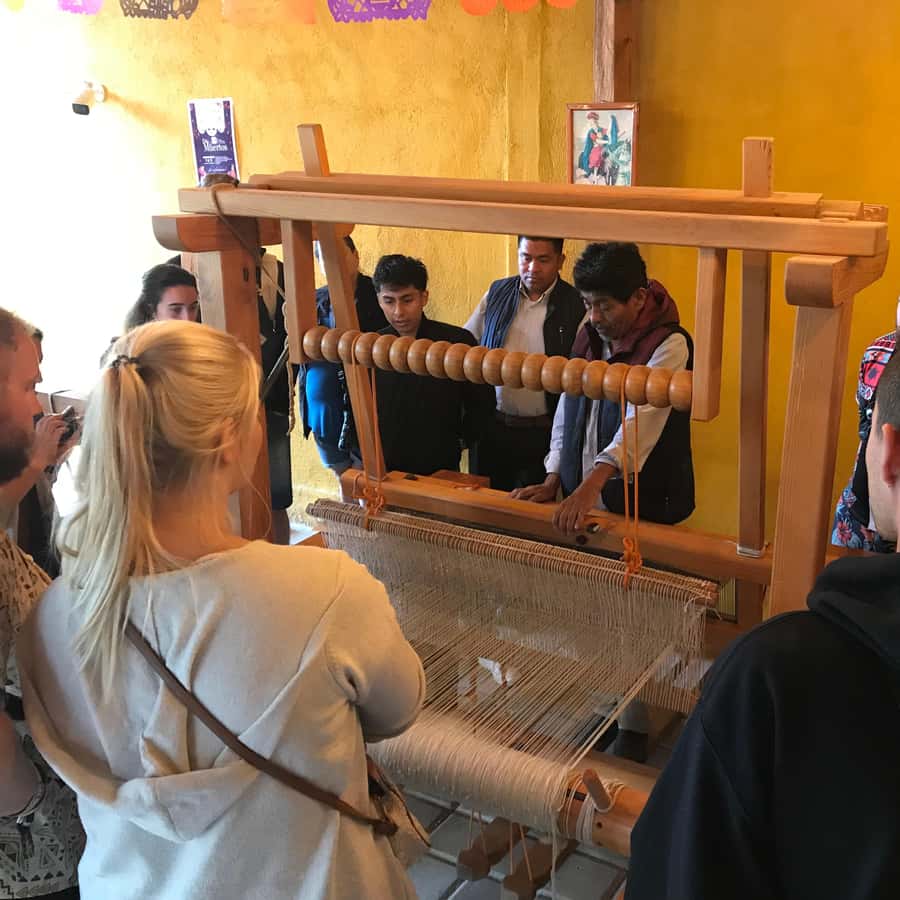 Galería de fotos para redes