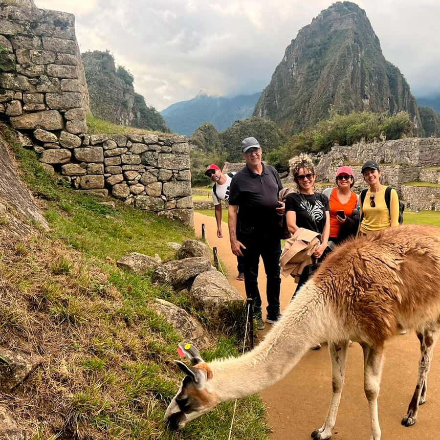 Galería de fotos para redes