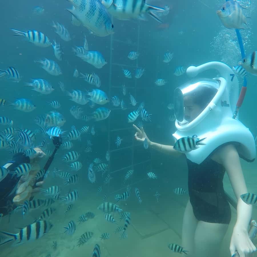 Galería de fotos para redes