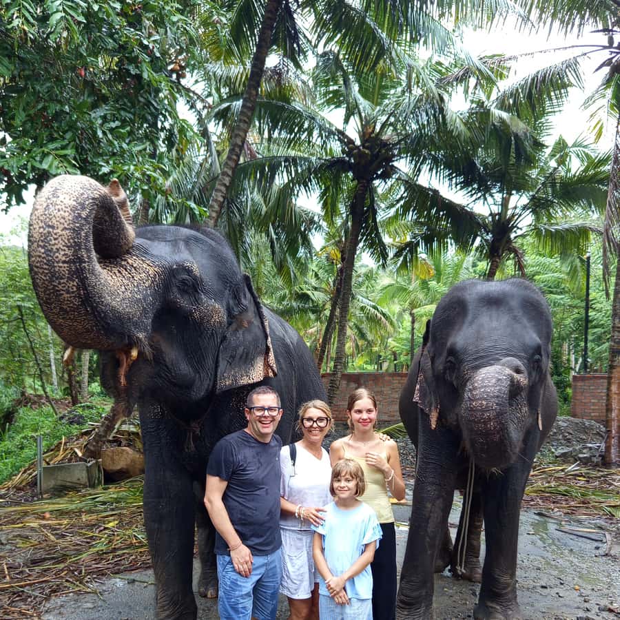 Excursão de um dia a Pinnawala e Kandy saindo de Colombo ou Negombo |  GetYourGuide, image size:900x900