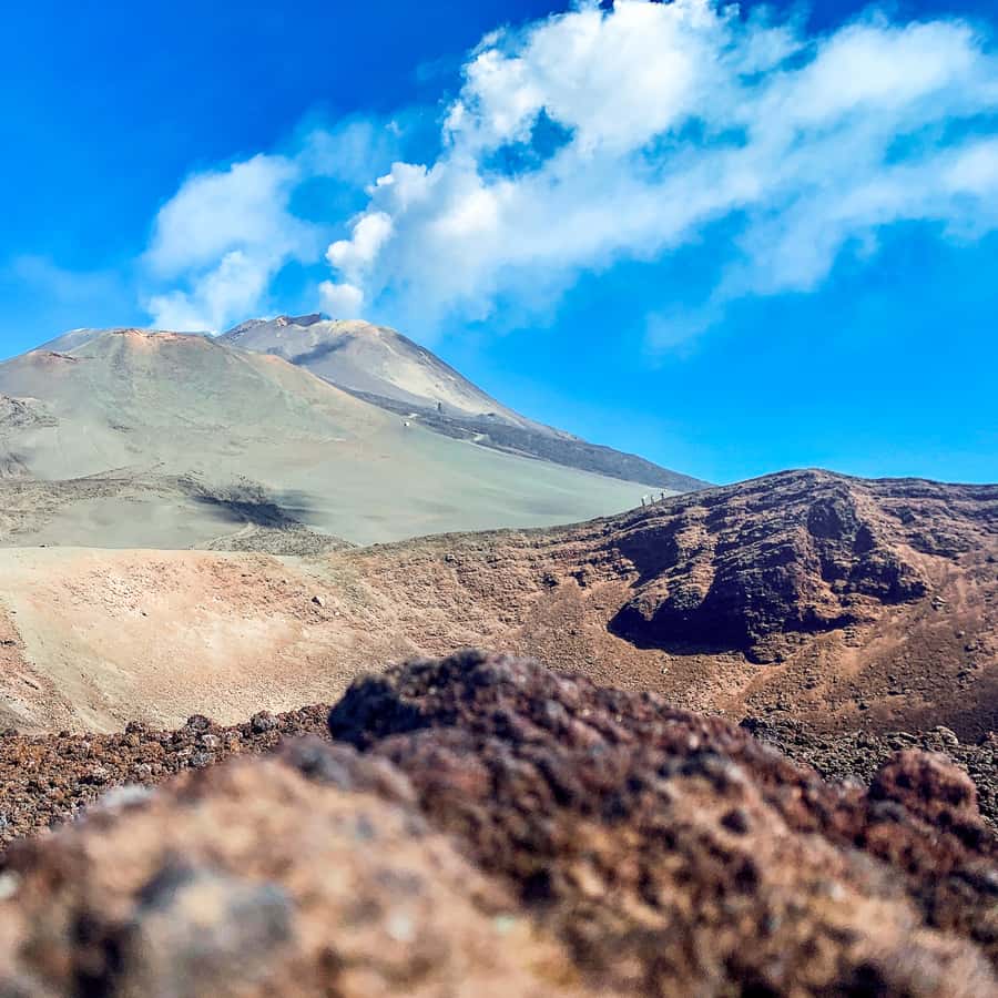 Galería de fotos para redes