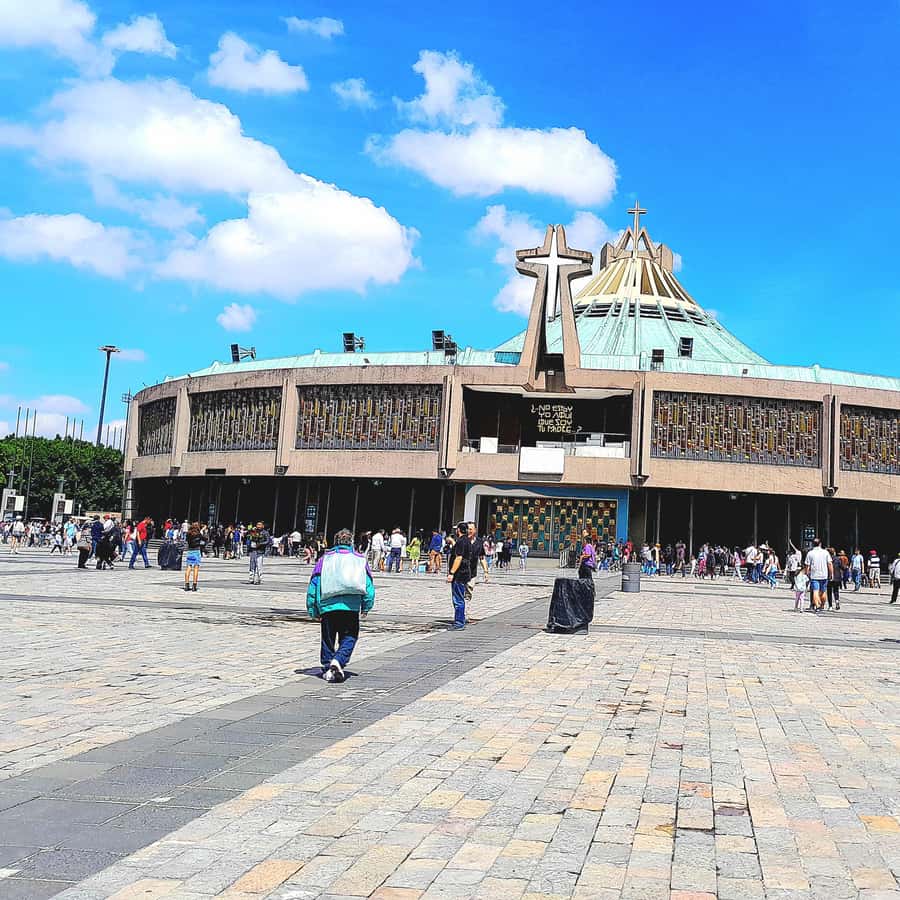 과달루페 대성당: 개인 맞춤형 도보 투어 | GetYourGuide, image size:900x900