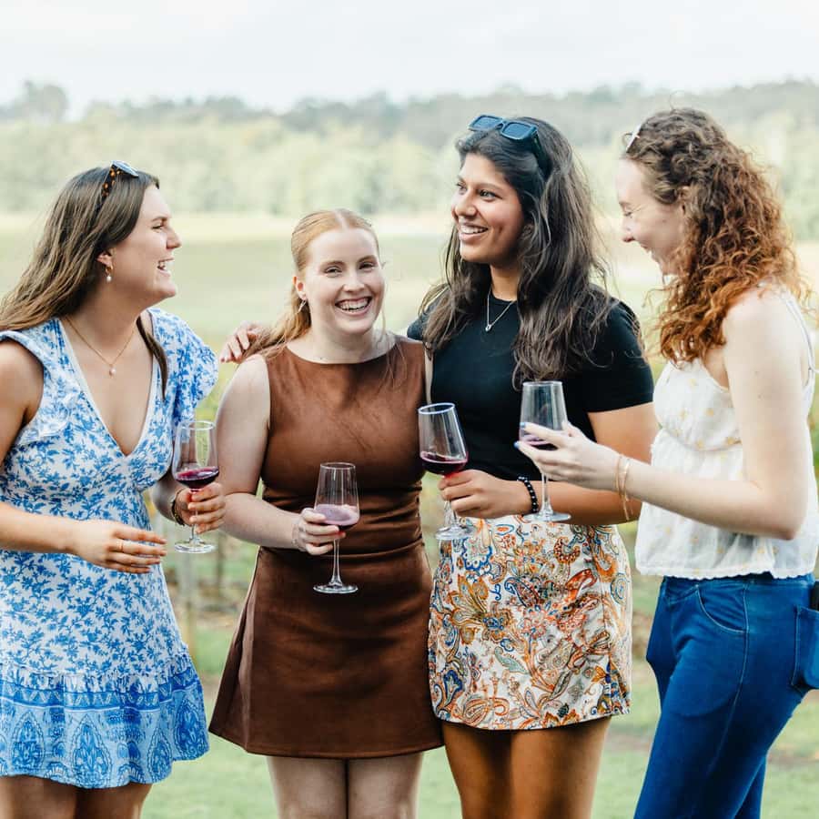 Newcastle: Boutique Hunter Valley Wine Tour GetYourGuide - Main Image