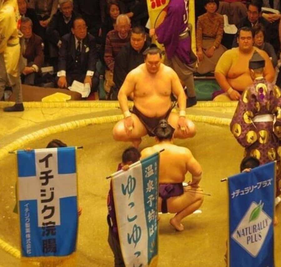 メディア コラージュ