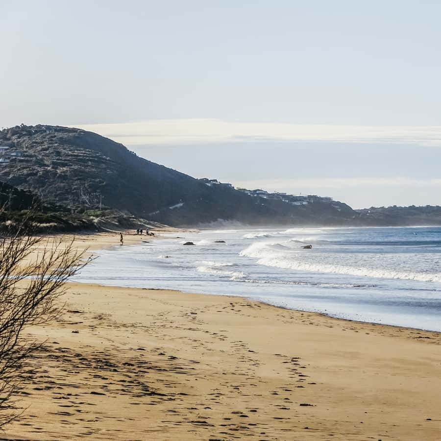 From Melbourne: Great Ocean Road and Wildlife Tour
