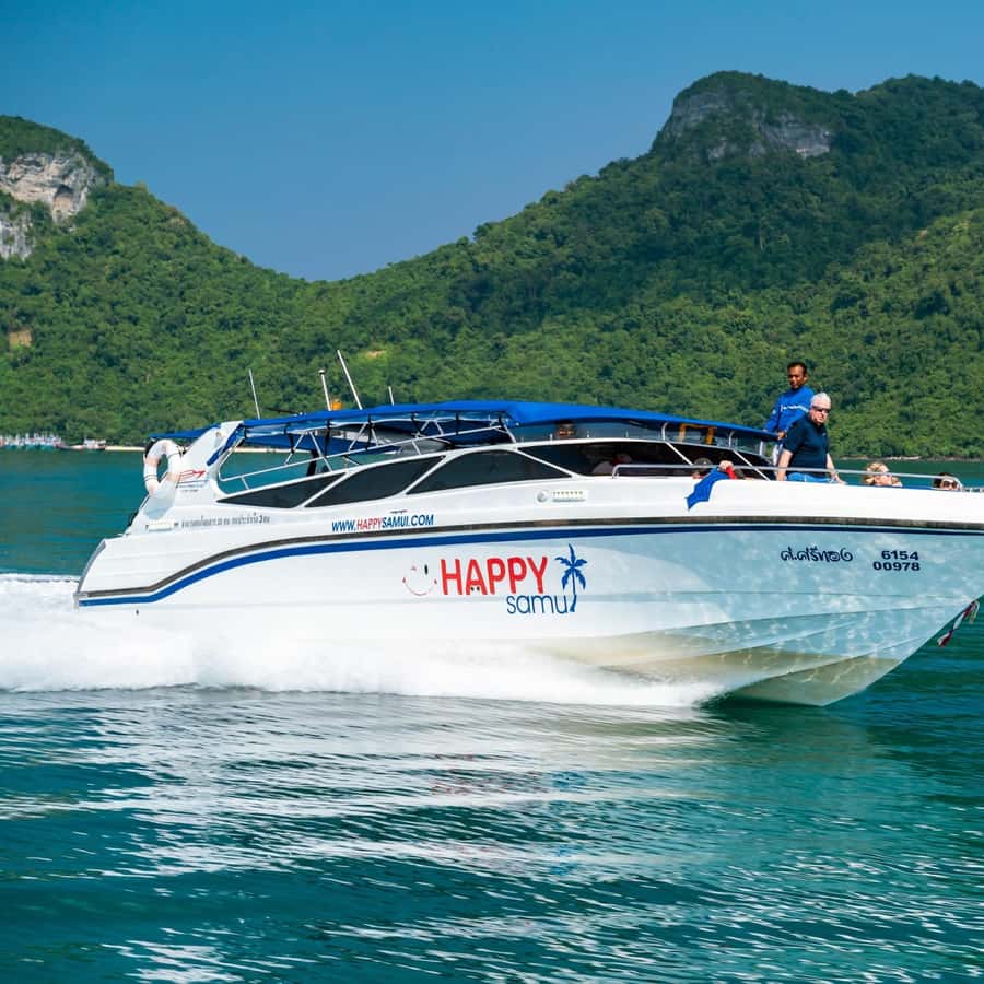 Koh Samui: Pig Island Tour by Speedboat with Snorkeling