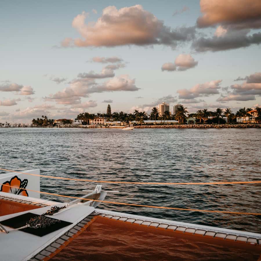 Palm Beach: Sightseeing Catamaran Cruise