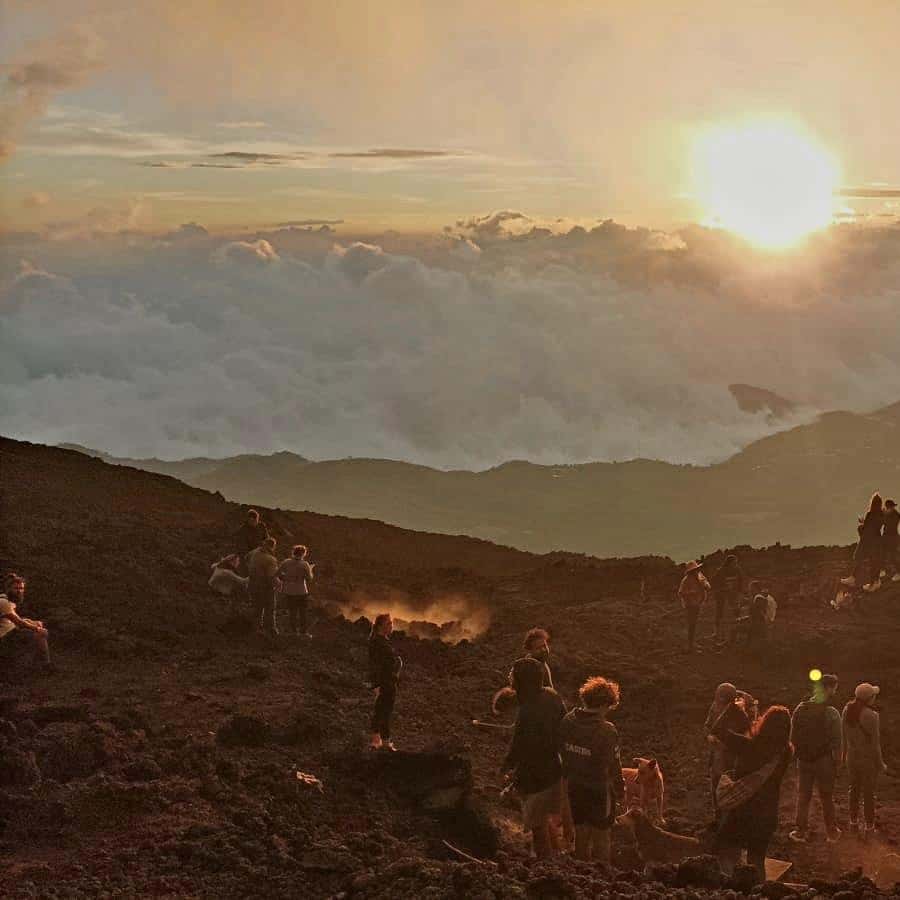 Galería de fotos para redes
