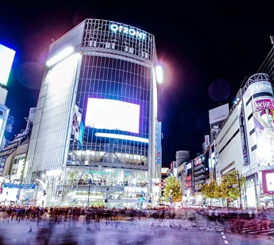 Private Tokyo Night Tour | GetYourGuide