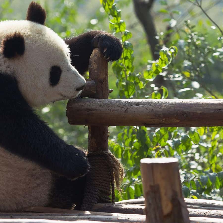 Galería de fotos para redes