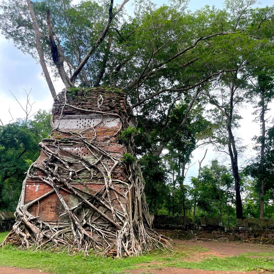 Colagem de mídia