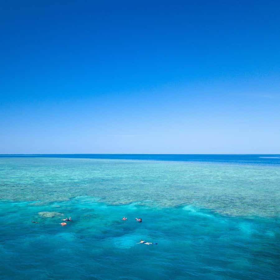 Cairns: Great Barrier Reef Overnight Snorkeling Boat Trip