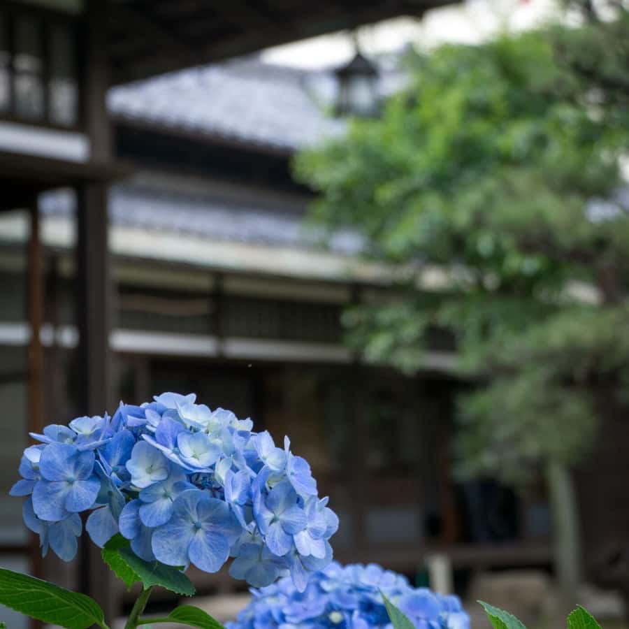 メディア コラージュ