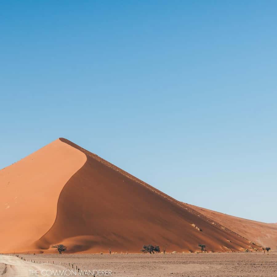 Galería de fotos para redes