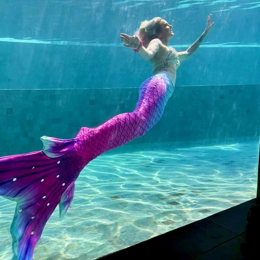 Sunshine Coast: Experiência de nadar com uma sereia | GetYourGuide, image size:900x900