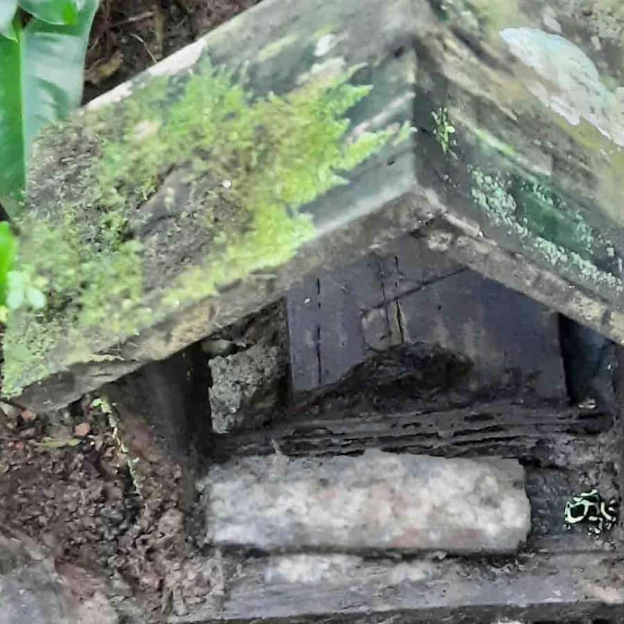 Colagem de mídia