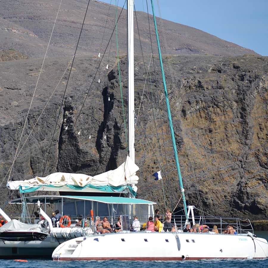 Puerto Rico: 4-Hour Catamaran Excursion in the South
