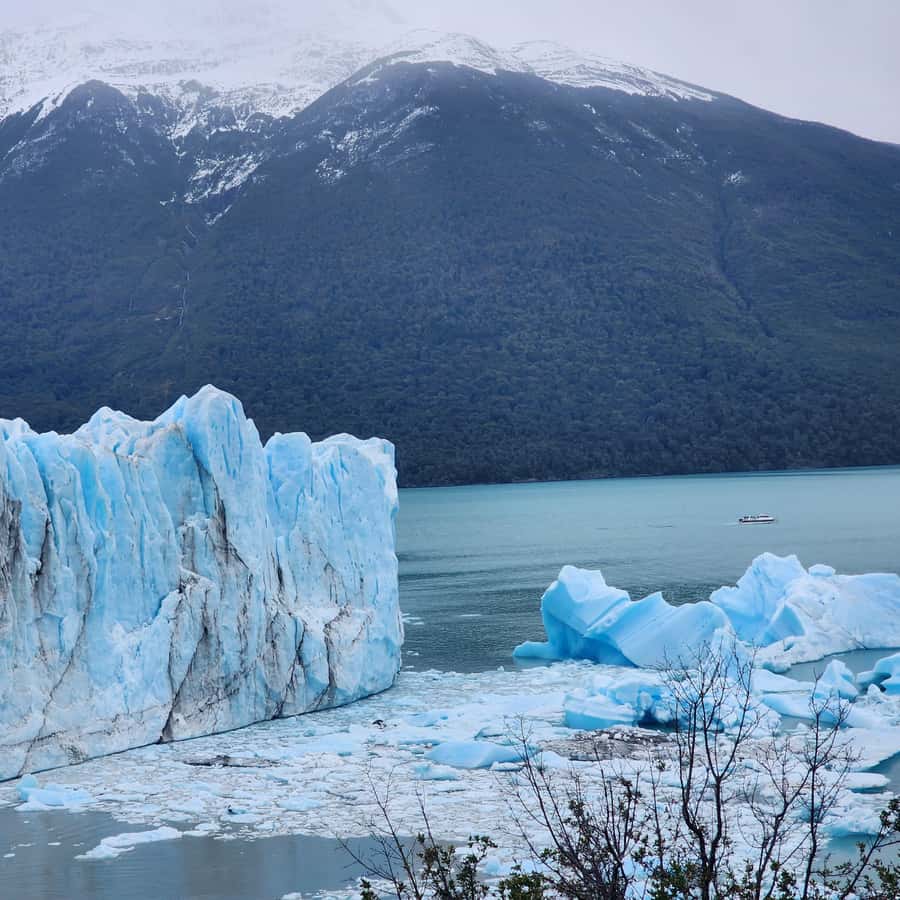 Galería de fotos para redes
