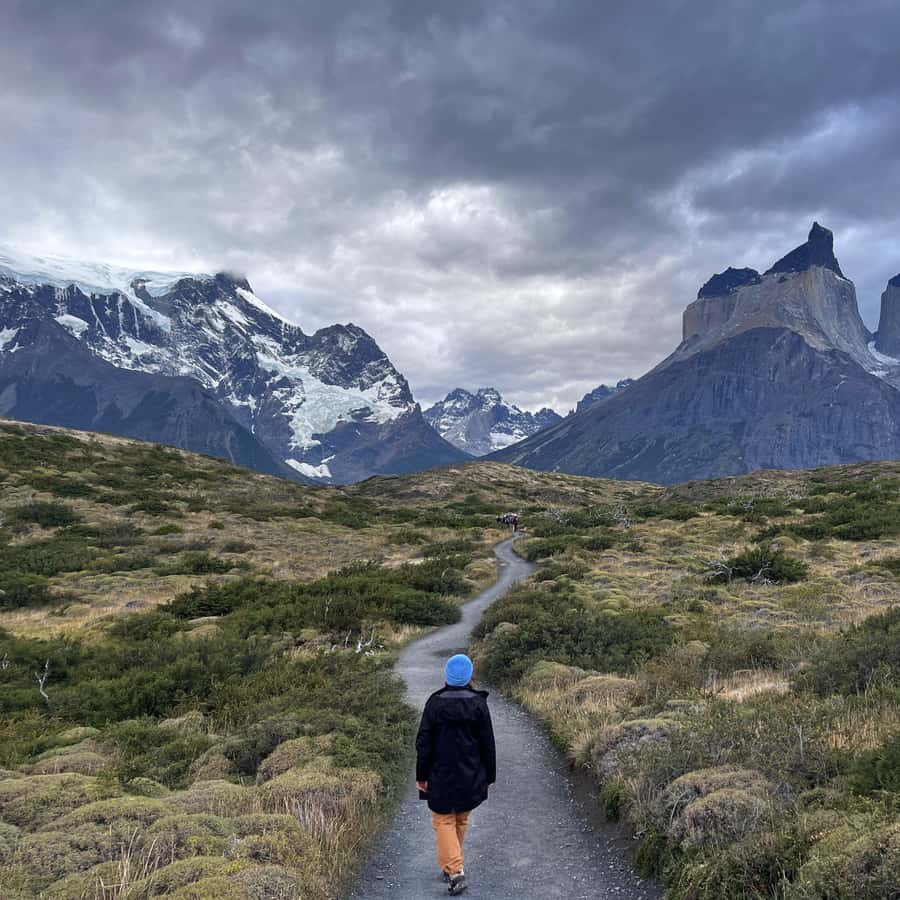 Galería de fotos para redes