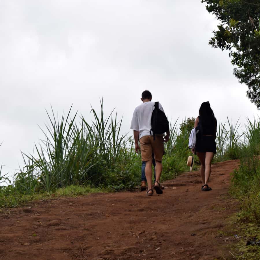 Colagem de mídia