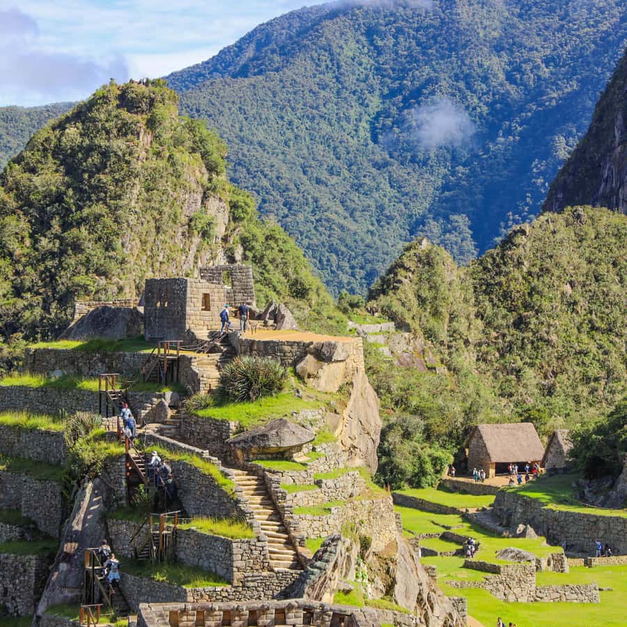 Galería de fotos para redes