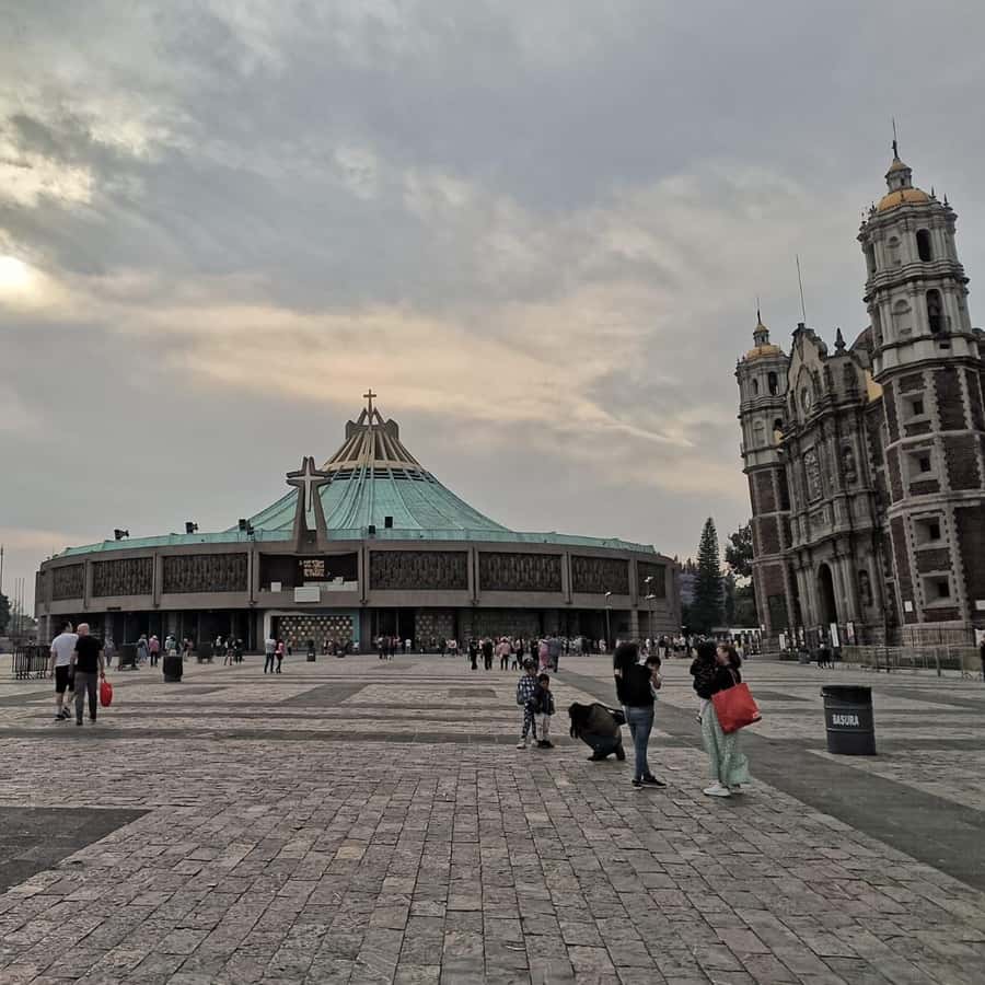 과달루페 대성당: 개인 맞춤형 도보 투어 | GetYourGuide, image size:900x900