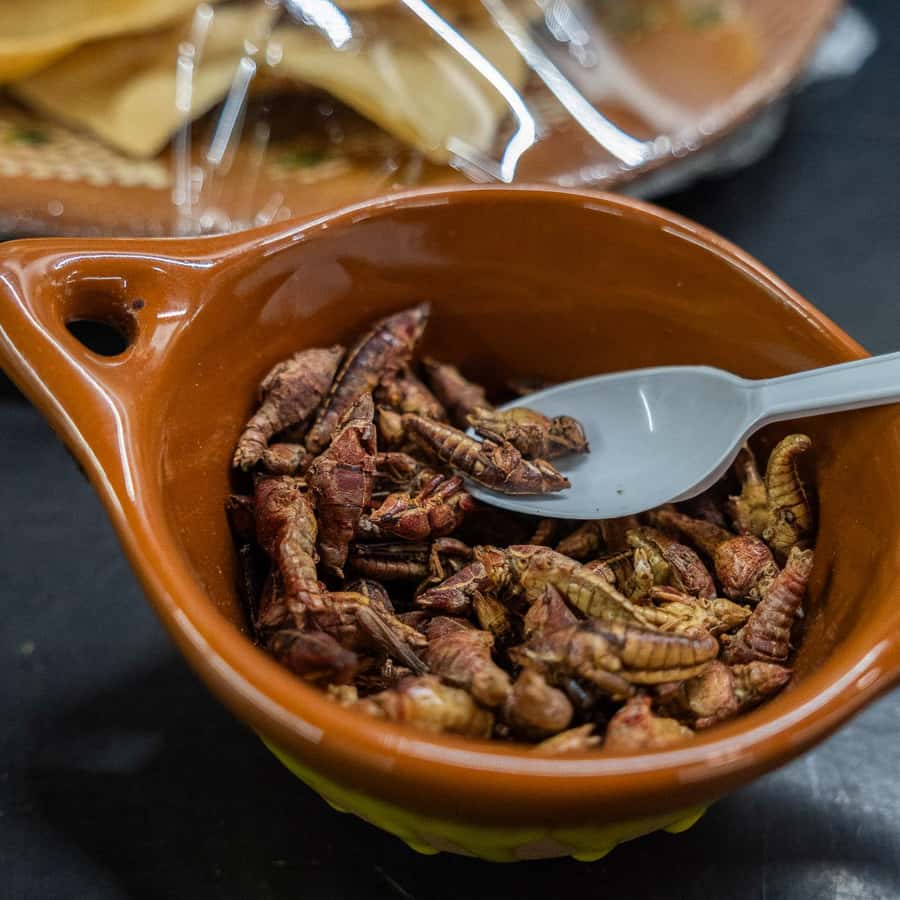 Galería de fotos para redes