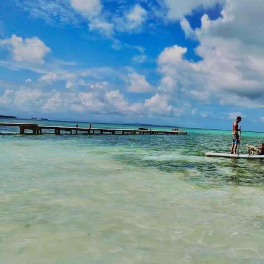 Galería de fotos para redes
