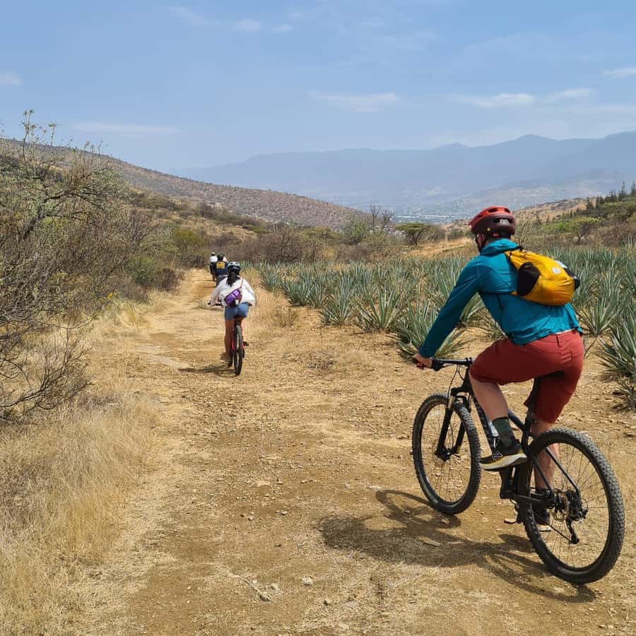 Monte Albán y Atzompa: ruta en bicicleta de montaña por senderos