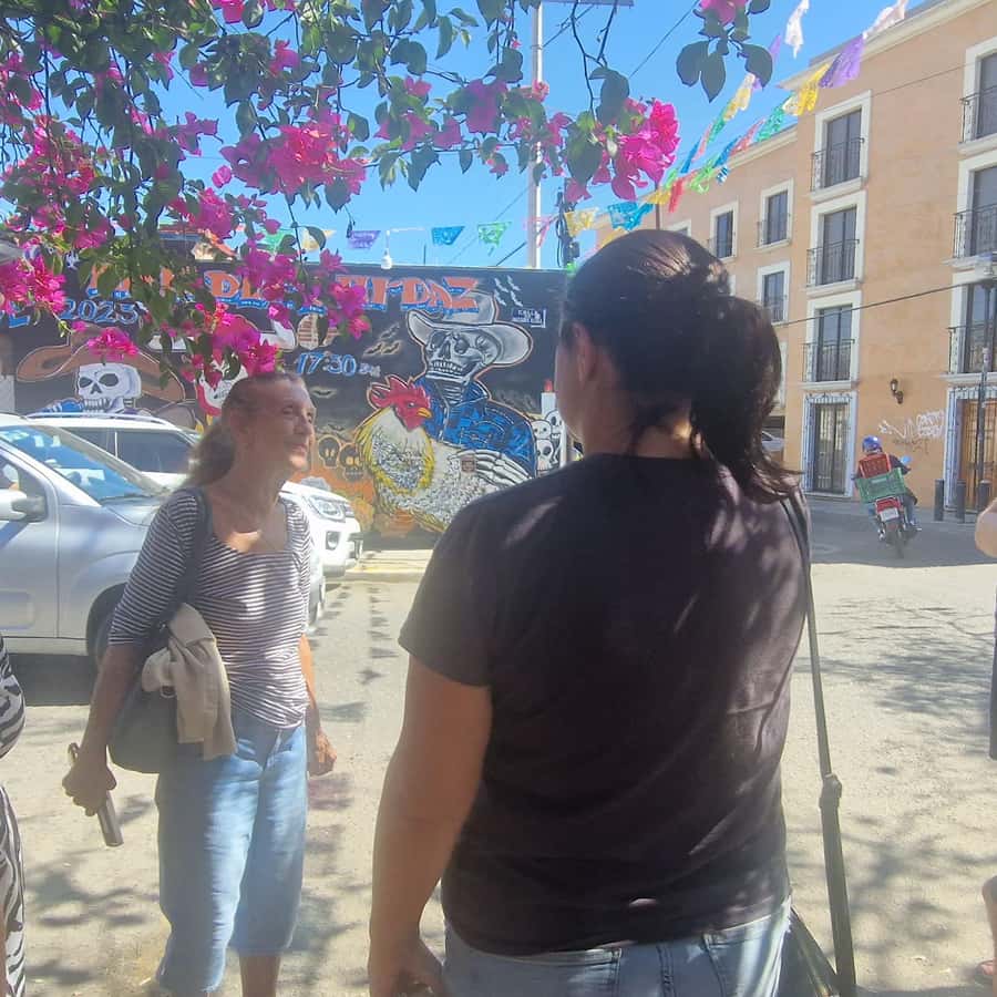 Galería de fotos para redes